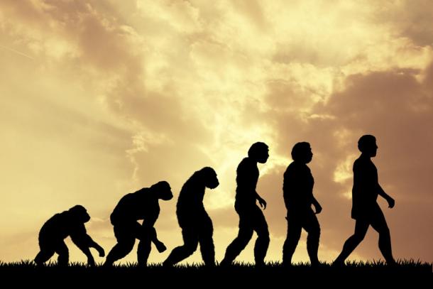 Imágenes evolutivas clásicas que representan las espinas dorsales humanas y neandertales como muy diferentes entre sí. Esta idea ahora se ha invertido. (adrenalina pura / Adobe Stock)