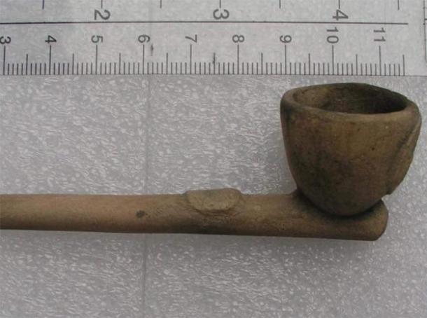 The clay pipe was found intact, which is uncommon. (Image: Darren Watton)