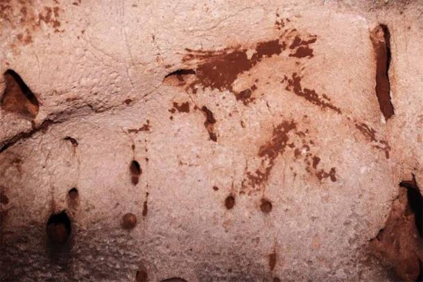 Horse head painted with clay. (© A. Ruiz-Redondo, V. Barciela & X. Martorell/Antiquity Publications Ltd)