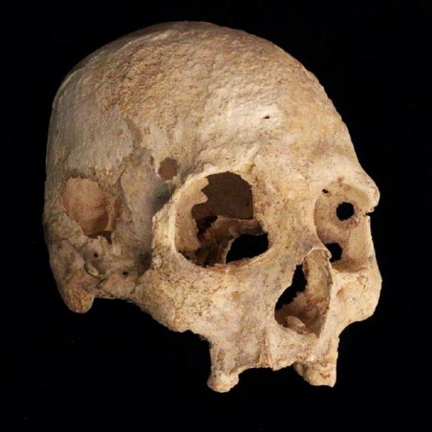 Close-up of skull found in the Chan Hol cenote cave. (Jerónimo Avilés Olguín / Heidelberg University)