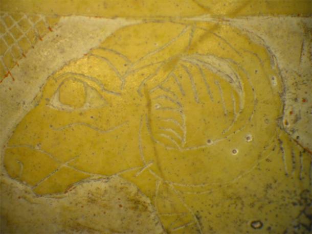 Close up of an ostrich egg that was used in the study and has been decorated with painted animal carvings. (Tamar Hodos et al. / Antiquity Publications Ltd)