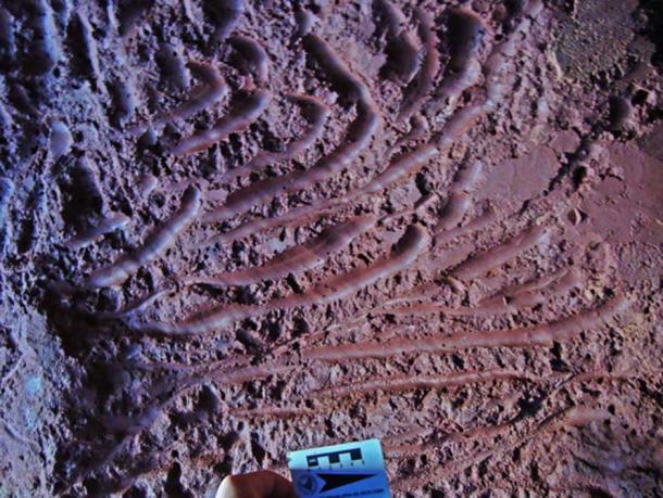 A closer look at the claw marks left in a tunnel.