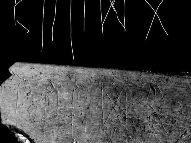 Un primer plano de la costilla de la vaca que muestra las letras rúnicas en él. (Universidad Masaryk)