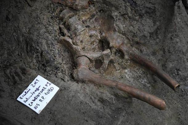 A closeup of the Vesuvius eruption victim’s lower torso and upper legs found near the beach of Herculaneum, south of Naples, Italy. (ANSA)