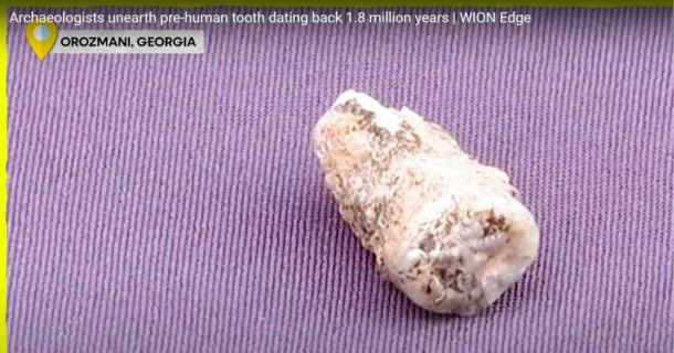 A closeup of the human tooth from 1.8 million years ago found at the famous Orozmani archaeological site in Georgia. (YouTube screenshot / WION)