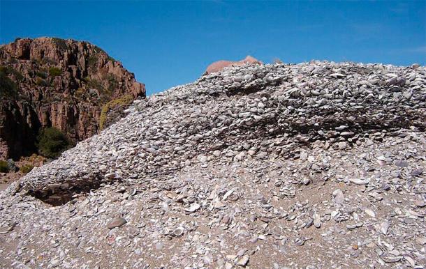 A closeup of a shell midden in Santa Cruz Province, Argentina. (Mikelzubi/CC BY-SA 4.0)