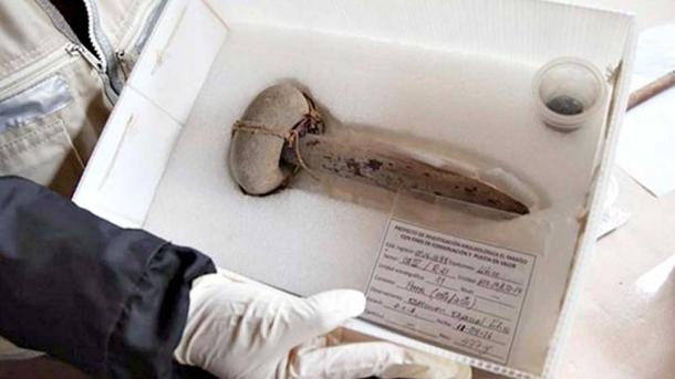 Image of the club or mace found in the same area as the cactus.