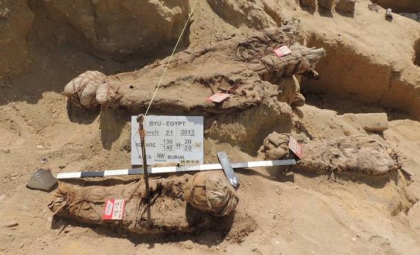 A cluster burial with two adults and two children wrapped in fabric