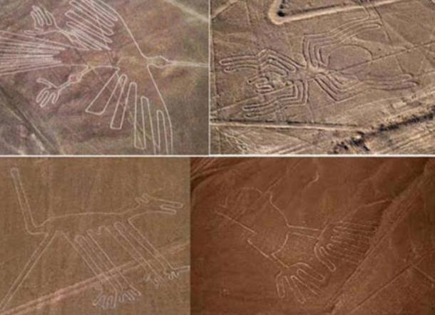 O colecție de geoglife Nazca, inclusiv o pasăre colibri (stânga sus) și maimuță (stânga jos).