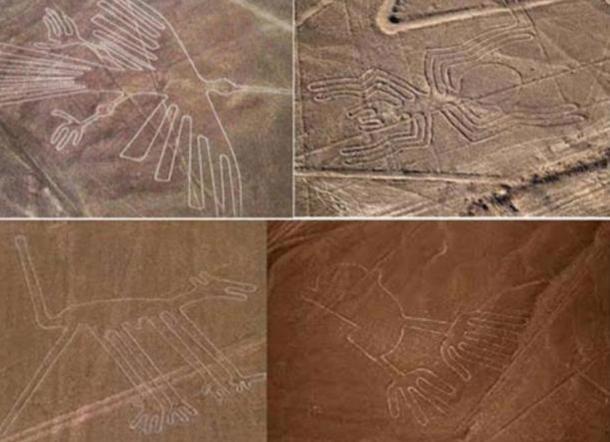 A collection of Nazca geoglyphs including a humming bird (top left) and monkey (bottom left).