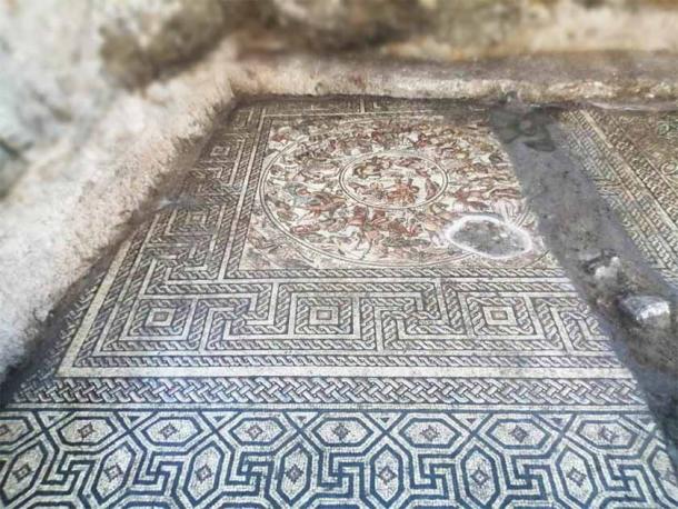 Красочные камни мозаики римской эпохи были типичны для той эпохи, но тема и размер довольно редки. (Музей Набу, Сирия)