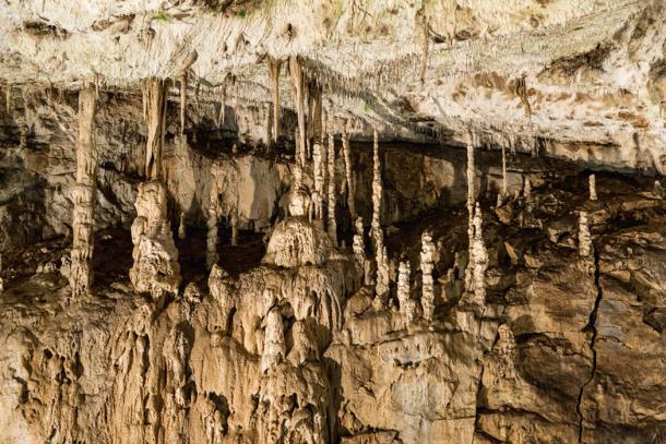Incredible columns and stalactites within the Punkva cave system (murmakova / Adobe Stock)