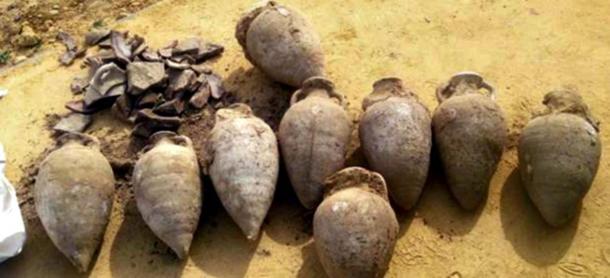 Nine of the 10 complete amphorae.