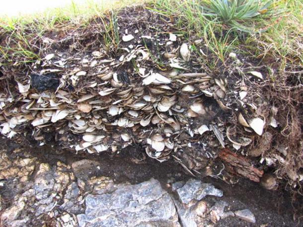 A midden, composed of shells, animal bones etc. providing insights into life on the island.