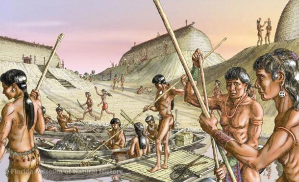 Artist's conception of Calusa people preparing for fishing in the estuary. (Florida Museum / Merald Clark)