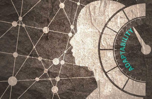 In the context of the Tibetan Plateau Denisovans' study, high-altitude adaptability was passed on through interbreeding with Homo sapiens in the region. (JEGAS RA / Adobe Stock)