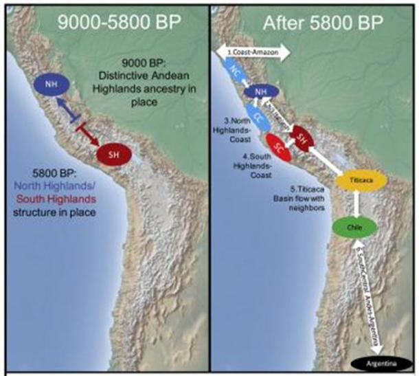 After 2000 BP, genetic continuity through rise and fall of cultures, but cosmopolitanism and long-distance migration in Inca polity. (Nakatsuka et al. 2020)