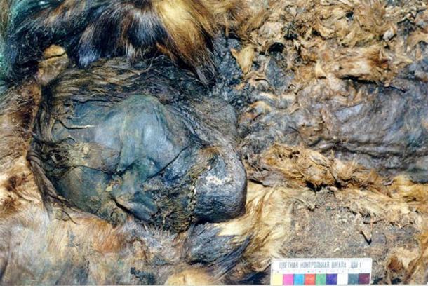 Five mummies were found to be shrouded in copper, while also elaborately covered in reindeer, beaver, wolverine or bear fur.