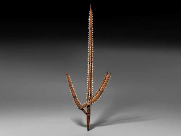 The coconut armor could even resist most blows from a shark tooth spear! This weapon consisted of a pointed staff of palm wood surrounded with rows of sharks' teeth, bound with coconut coir and edged with ribs of leaves. At the base are three curved limbs, each having two rows of shark teeth of similar construction. (British Museum / CC BY SA 4.0)