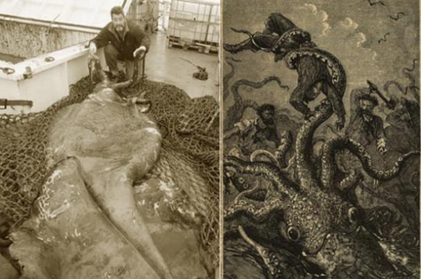 The legendary Kraken