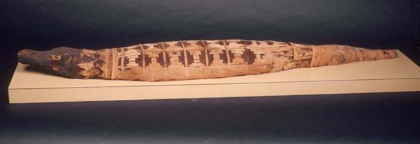 2,500-Year-Old Mummified Crocodile Yields Surprises
