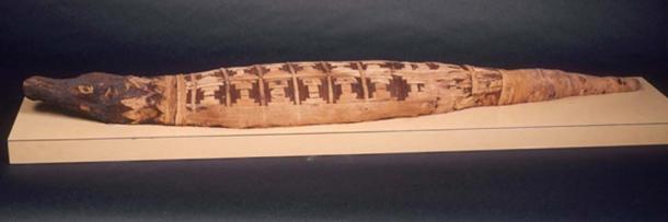 A crocodile mummy