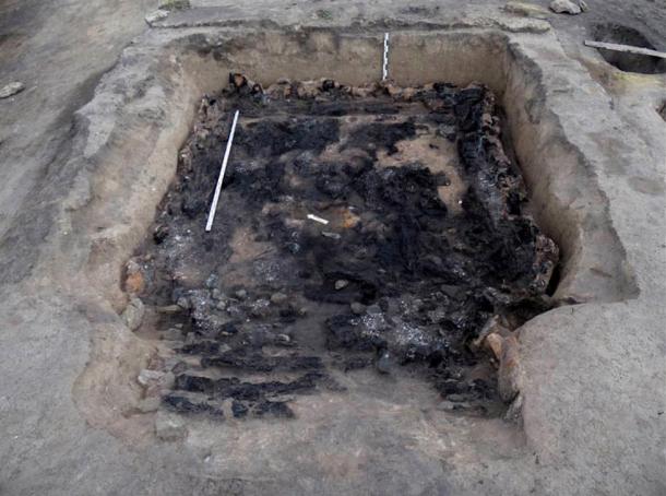 'This crypt was very large, and we spent two seasons excavating it.' 