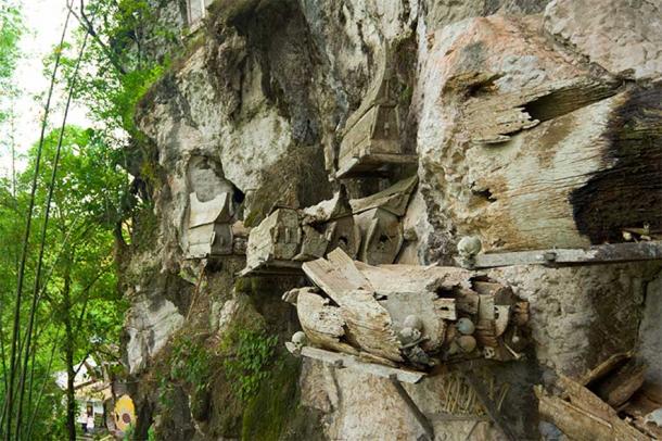 Los muertos son enterrados en ataúdes de madera colgados en el acantilado como parte de los rituales funerarios de la cultura del pueblo Torajan. (Pius Lee/Adobe Stock)