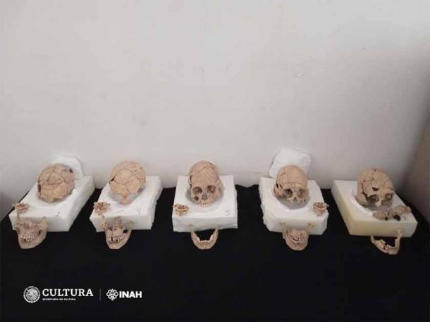 5 of the decapitated skulls discovered at the Maya Moral-Reforma Archaeological site in Tabasco, Mexico. (Miriam Angélica Camacho Martínez/INAH)