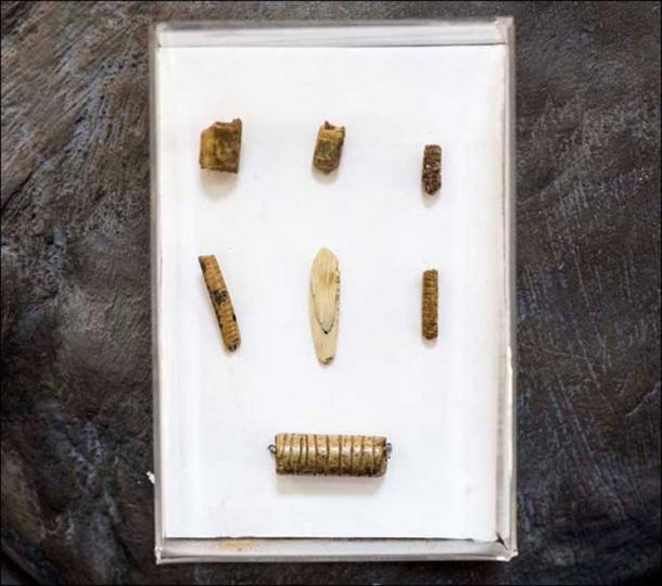 Handiwork made of bones and teeth, find in 11th layer of Denisova cave. Pictures: Anatoly Derevyanko, The Siberian Times