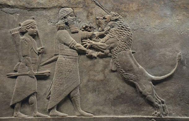 Sculpted reliefs depicting Ashurbanipal, the last great Assyrian king, hunting lions, gypsum hall relief from the North Palace of Nineveh 