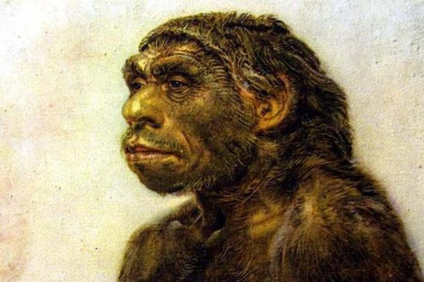Earlier depiction of a Neanderthal.