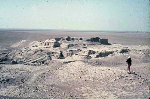 Jim Fitton, a retired British geologist on a tourist visa, went to Iraq on holiday. During his visit he went to the ruins of Eridu, pictured here, in southern Iran. And it was here that he picked up the worthless artifacts that resulted in his smuggling conviction and 15 year prison sentence. (Thais Gilo / Public domain)