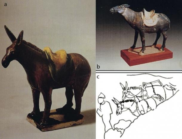 a–b) Donkey pottery figurines found in Xi’an; c) sketch of Tang Dynasty Dunhuang paintings (T. Wang / Antiquity Publications Ltd).