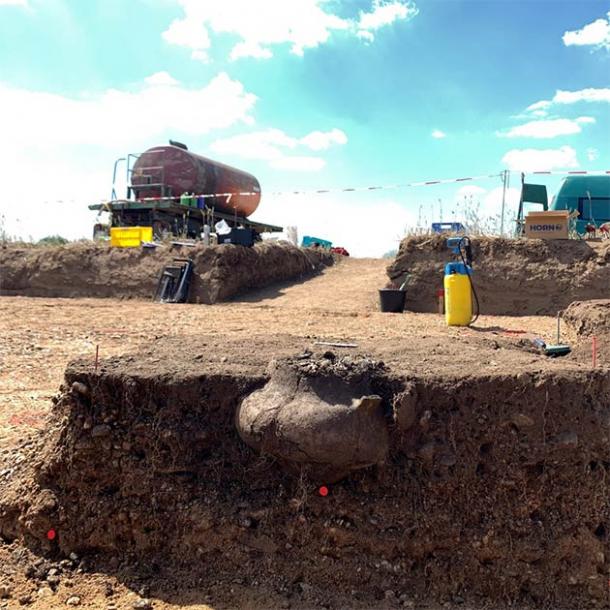 Urn discovered at burial ground in Germany. © LDA Sachsen-Anhalt, G. Schafferer