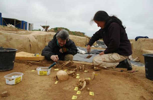 Archaeologist discovering the burial.