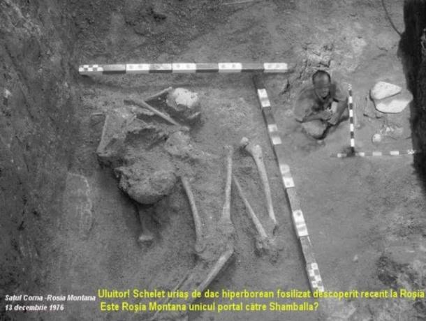 Останки гигантов в Румынии. 10-метровый скелет, найденный в Румынии, в 1976 году.