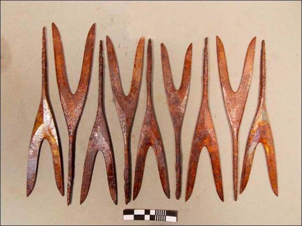 The French find and other intriguing and varied items were made during a dig in Yamalo-Nenets autonomous region, close to the Taz River. 