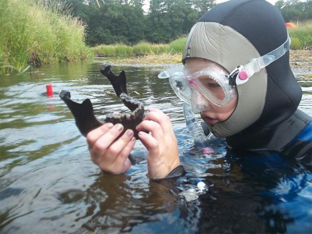Discovery of a mandible in the Tollense river. (©: Ronald Borgwardt / Tollense Valley Project)