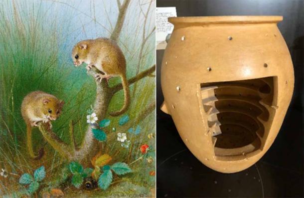 Another disgusting ancient food - ancient Romans would catch dormice and fatten them up in jars before stuffing and eating them. (Left: Public Domain; Right: Viscondedeportoseguro / CC BY SA 4.0)