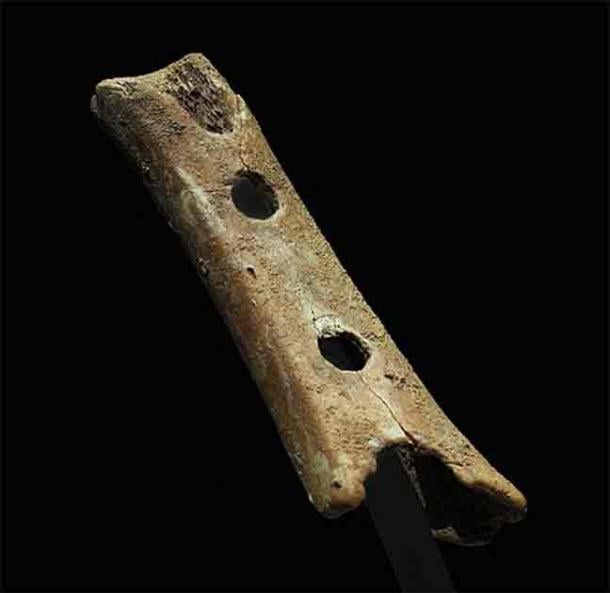 Divje Babe flute (alleged Late Pleistocene flute). Measures 13.36 cm (5.26 in) long. National Museum of Slovenia. (Petar Milošević/CC BY-SA 4.0)