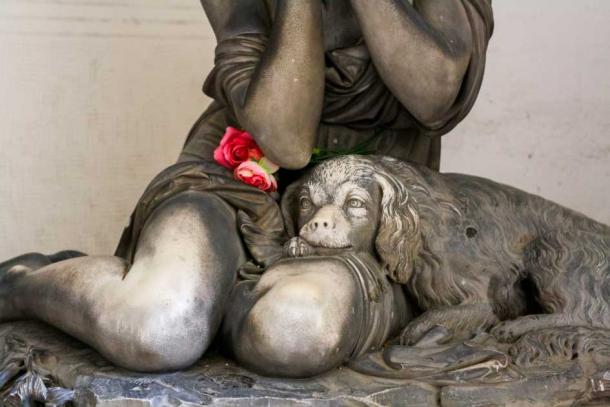 A dog comforts its owner who grieves the loss of a loved one ( drbnth / Adobe Stock)