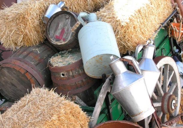 Donkey milk is still used throughout the world for its many health benefits