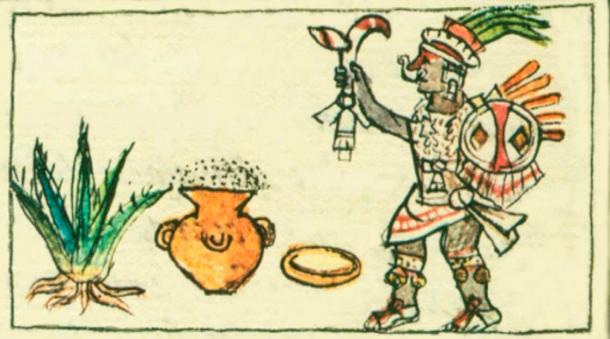 A drawing from the Florentine Codex which depicts the female goddess Mayahuel, and the making of pulque. (Public domain)