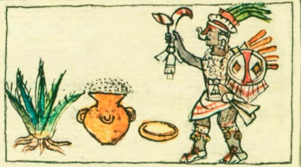 Diseño del Códice Florentino que representa a la diosa Mayahuel y la elaboración del pulque. (Dominio publico)