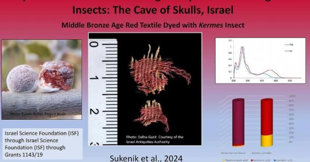 Left, Kermes vermilio, center, dyed fabric sample. (Sukenik et al, 2024)