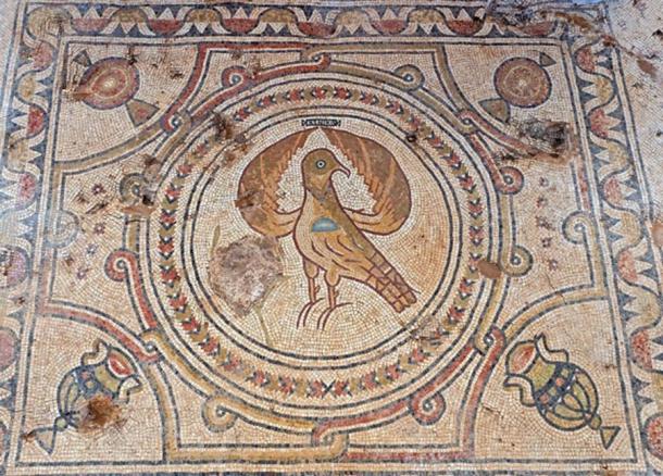 Águila, parte de los mosaicos de la iglesia bizantina. (Assaf Peretz/Autoridad de Antigüedades de Israel)