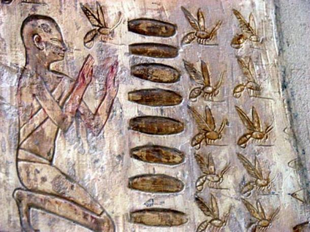 One of the earliest record of beekeeping was found in the sun temple erected in 2400 BC near Cairo.