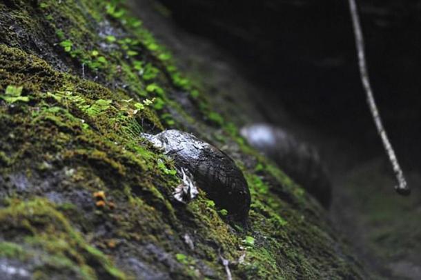 Stone eggs emerging from the egg-laying mountain in China. (AsiaWire)