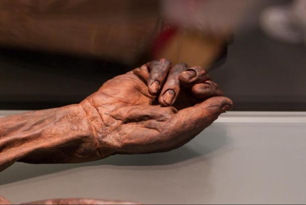 The elite status of Old Croghan Man is further supported by his well-manicured hands. (doevos / CC BY-NC-SA 2.0)